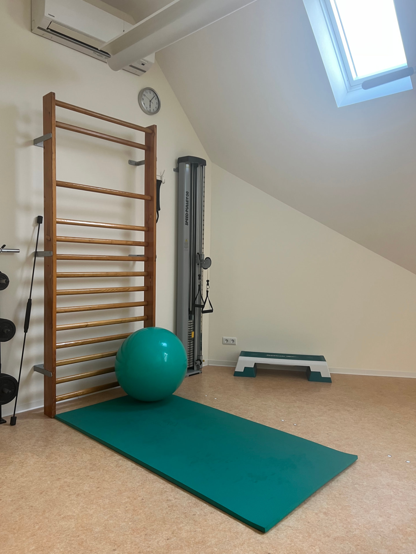 Trainingsraum mit Sprossenwand und Seilzug